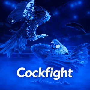 New8 Cockfight