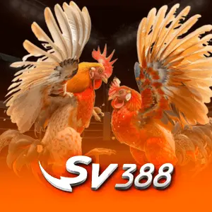 Cockfight-SV388